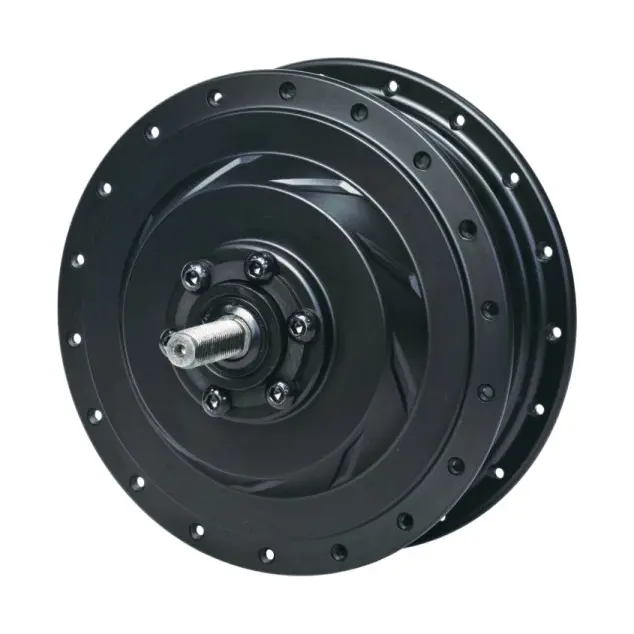 Rear Hub Motor (2)01t