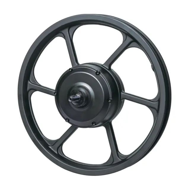 Rear Hub Motor (5)dqv