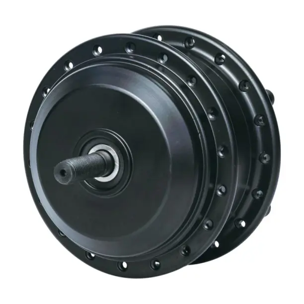 Rear Hub Motor (1)n55